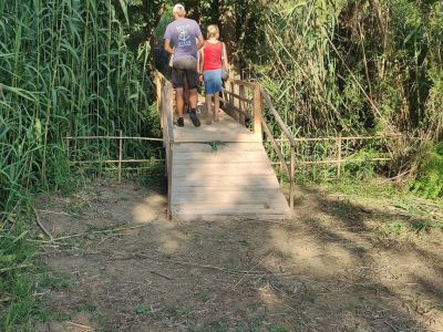 Fuweg zum Haus Xenia mit kleiner Holzbrcke